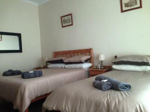 Hostal Asboom/ashtree Guesthouse
