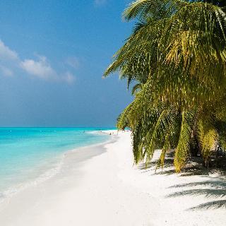 Hotel Meeru Island Resort & Spa