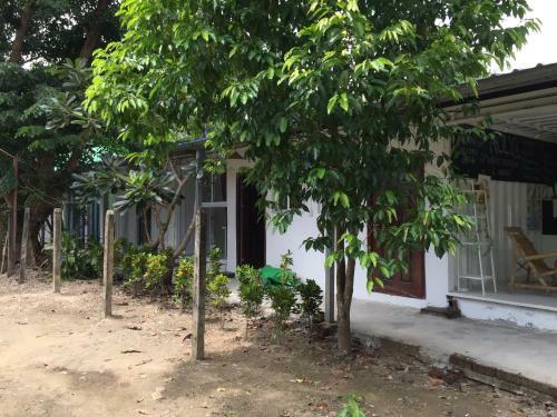 Roly's Hostel
