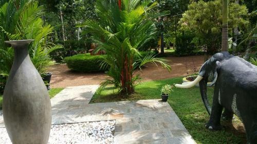 Hostal Traum Villa
