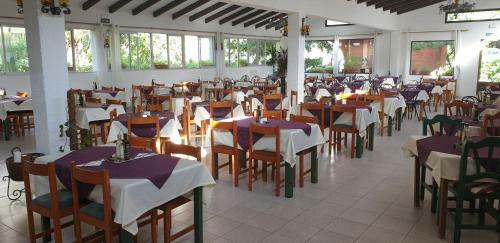 Hostal Soller Garden
