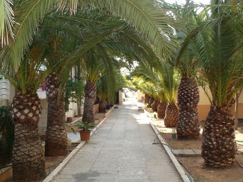 Hotel Playa Blanca