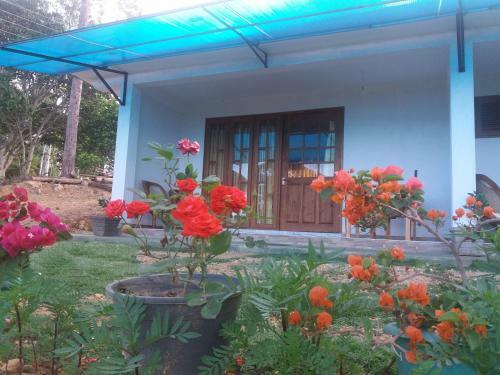 Hostal Ella Mountain Palace