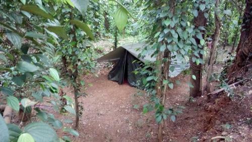 Hostal Nature Park