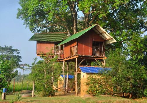 Lodge Elephant Watch Hut