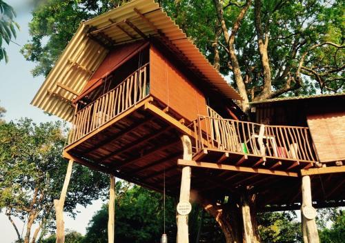 Lodge Elephant Watch Hut