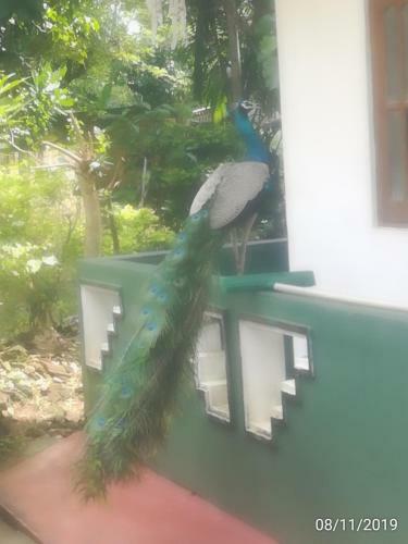 Hotel Seaview Resort