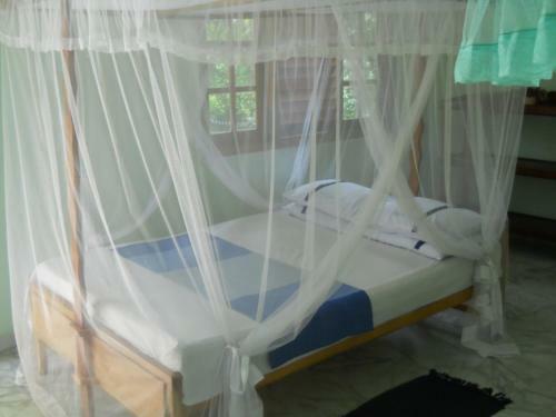 Apartamento Green Shade