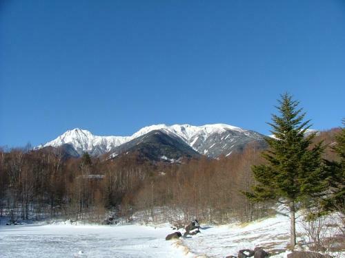 Hotel Yatsugatake Kogen Lodge