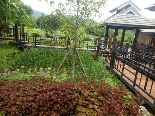 Hostal Bura Phat Resort