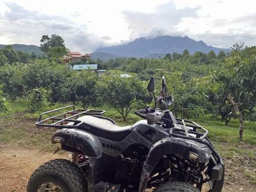 Hostal Bura Phat Resort