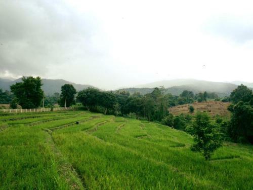 Hostal Bura Phat Resort