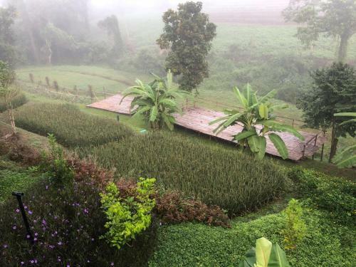 Hostal Bura Phat Resort