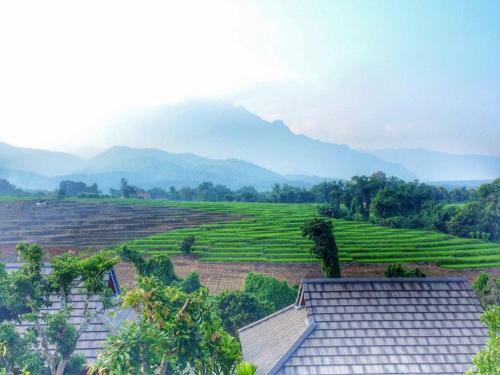 Hostal Bura Phat Resort