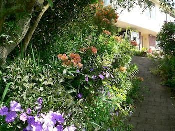 Mount Hobson Boutique Accommodation