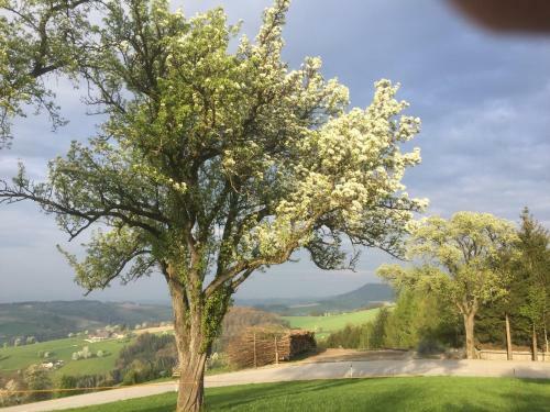 Apartamento Ferienwohnungen K�ssl