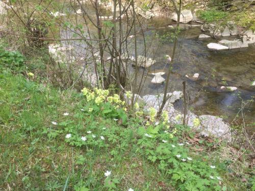 Apartamento Ferienwohnungen K�ssl