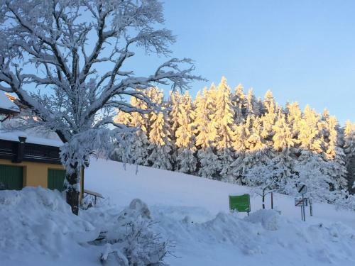 Apartamento Ferienwohnungen K�ssl