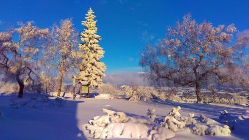 Hostal Riegrova Chata Koz�kov