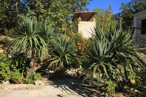 Holiday Home Uvala Rogacic 8889