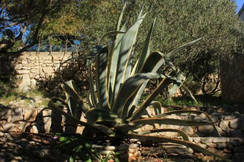 Holiday Home Uvala Rogacic 8889