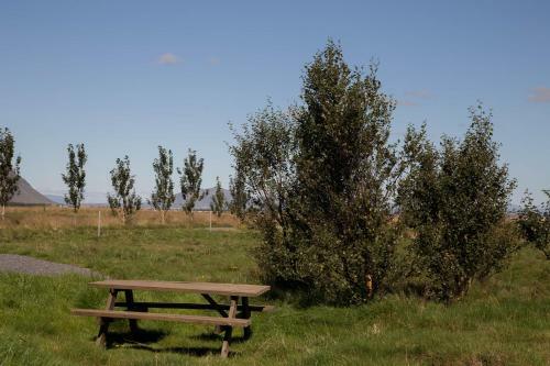 Agroturismo M�ri Guesthouse - Stay For A Tree
