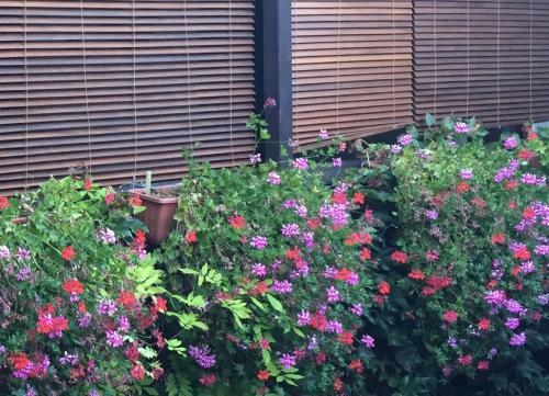 Hotel Szent Anna Panzi�