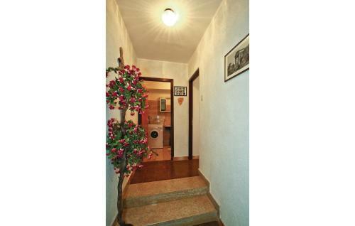Apartment Ograda VI