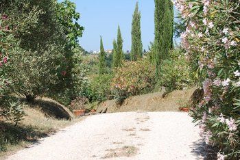 Agroturismo Tenuta Il Pino