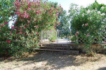 Agroturismo Tenuta Il Pino