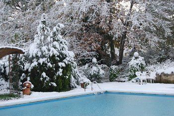 Agroturismo Tenuta Il Pino