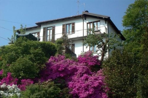 B&B Al Mutpron
