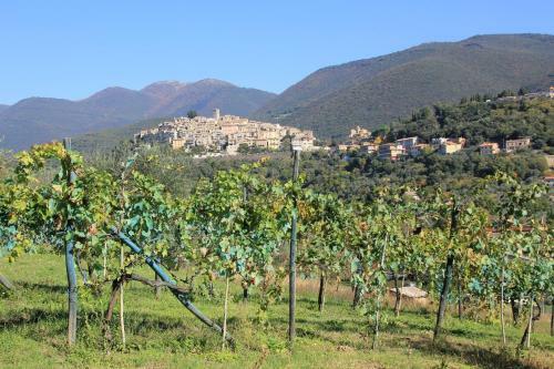 B&B Colle Perrini Country House