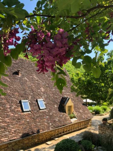 Bed & Breakfast La Tour De Cause