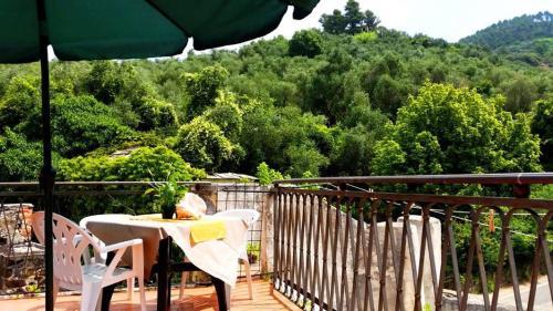 Hostal Hostel Ospitalia Del Mare