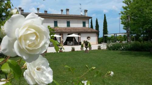 Antico Casale Cesenatico B&B