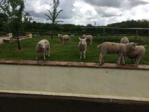 Hostal Barton Gate Farm B&B