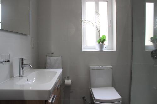 Apartamento Lampuka 1