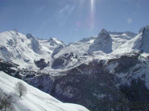Rental Apartment Le Chalet 7