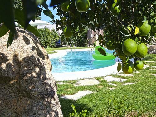 Agroturismo Luna&limoni Country