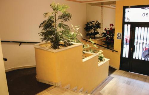 Apartment C/los Gases 50,bajo