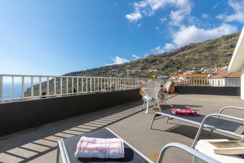 Apartamento Teixeira