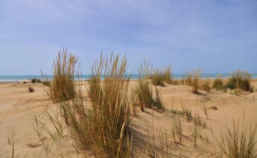 Hostal Guest House Villa Ziella