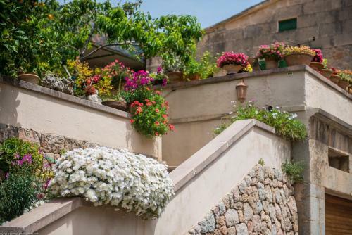 Villa Circe