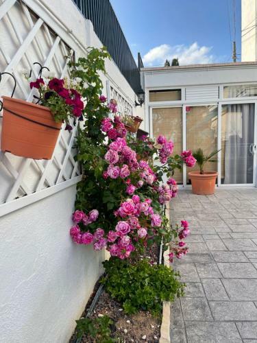 Bed & Breakfast Marineda