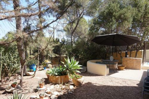 Villa Casa La Paloma