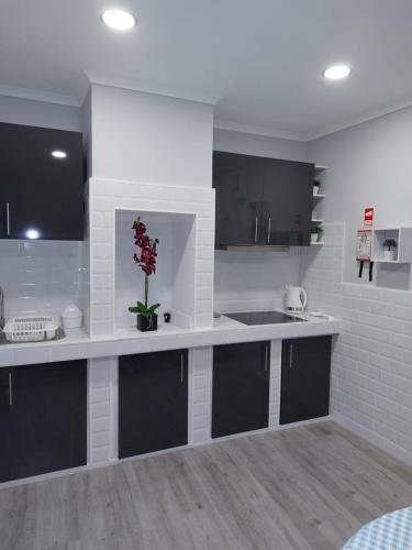 Apartamento Pinneapple Studio