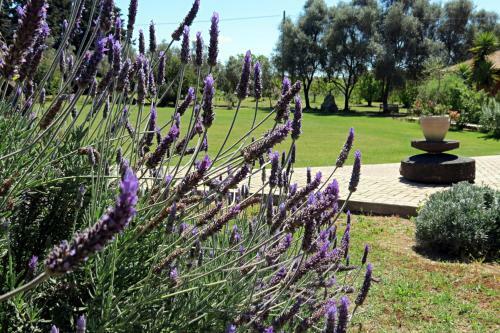 Agroturismo L'orto