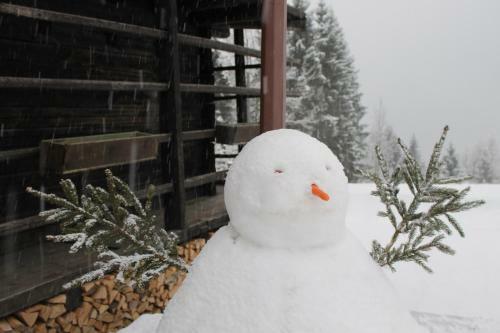 Hotel Chalet Rikheland
