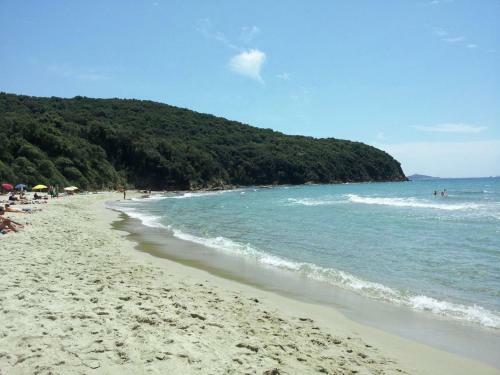 Apartment Scarlino